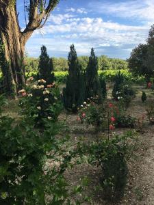 Maisons de vacances L'Annexe du chateau du Martinet : photos des chambres