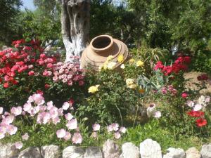 Tiki Rooms Samos Greece