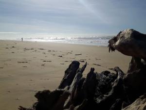 Appartements Vue Golf dans Residence Nature 