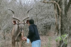 Marloth Park, Kruger safari house - solar