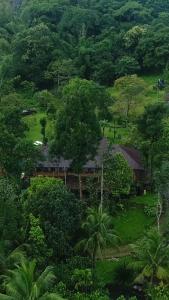 Beyond Eco Living