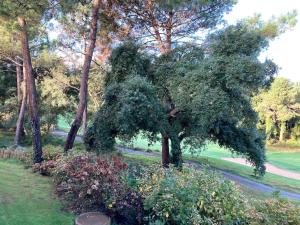 Appartements Vue Golf dans Residence Nature 