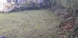 New Find Guest House M22