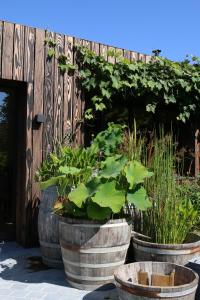 Maisons d'hotes Clos des Poulies : photos des chambres