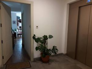 DEPARTAMENTO en La Paz MUNDO LUNA