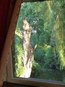 B&B / Chambres d'hotes Le Moulin du Bignon : photos des chambres