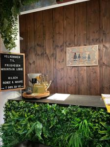 Måsåplassen Friisvegen Mountain Lodge