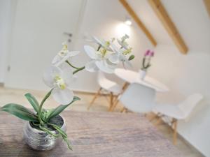 Apartments Sweet Escape