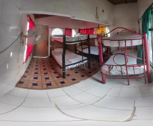 hostal alquimista