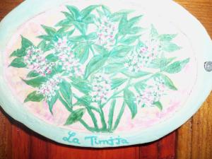 Safranière du M Goun