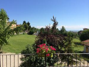 The Green Guest House