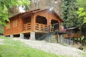 Cypress House - 新阿丰