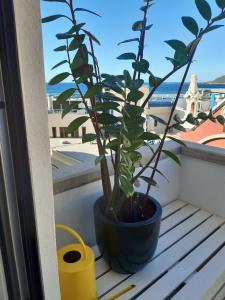 CASITA SUNWAVES- EL 19 DE PADRE CUETO, LAS CANTERAS