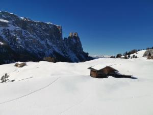 Ritschhof