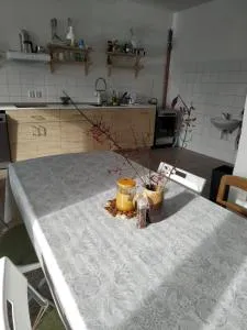 Apartmán v Anenském údolí - Linhartice