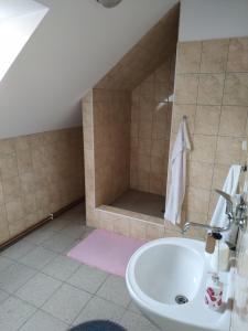 Apartmán v Anenském údolí