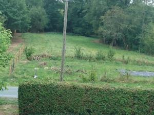 Maisons de vacances Location meublee au milieu d'un ecrin de verdure Aux vieux fours : photos des chambres