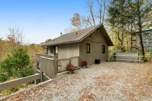 Mogul Road Cottage - Hemlock Ridge