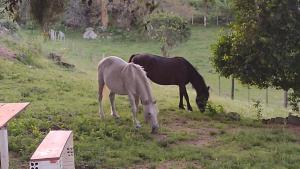 Casa & CHALÉ em Morro Redondo RS