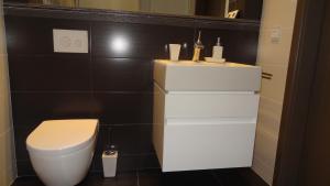 Central Apartment Palanga