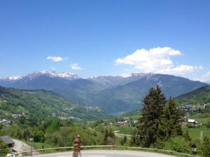 Appartements Appartement Valmorel, 3 pieces, 4 personnes - FR-1-356-324 : photos des chambres