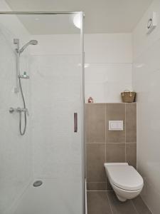 Design Studios SVI-MI