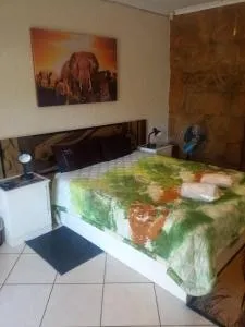 Rock Art Guesthouse - Witbank