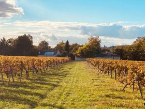 B&B / Chambres d'hotes Clos Labellie - Gite et Chambre d'Hotes a Saint-Emilion : photos des chambres