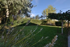 Villa Mirka