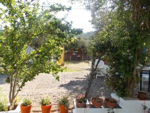 Pleiades Studios and Maisonettes Skopelos Greece