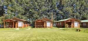 Cabañas, canchas de pádel, básquet, voley, juegos infantiles y más