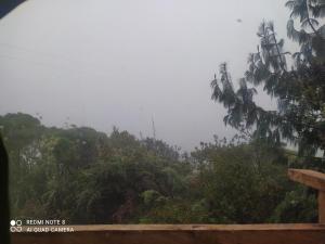 Cabañas el Paraiso Sesquile