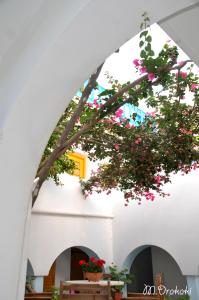 Aegean Village Paros Greece
