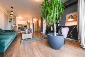 Grand Park Rose Iulius Mall