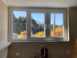 FOREST VIEW ELISAVET