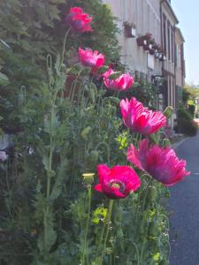 Appartements Le petit nid d'aigle - Giverny : photos des chambres