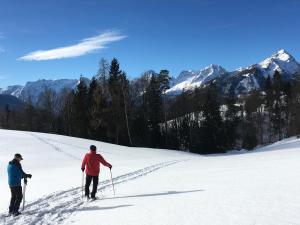 STEINERGUT Gartenwohnung 1
