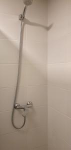 Leguizamon Studios & Suites Premium