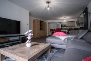 Appartements SUPERB apt with BALCONY in BRIANCON : photos des chambres