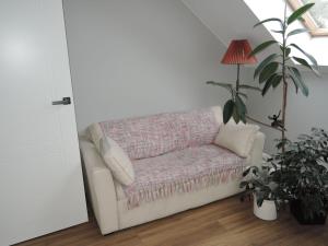 The Modern new house