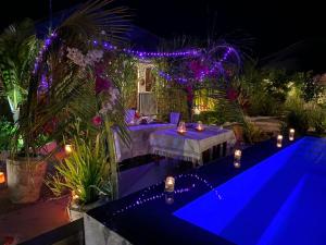 shamba village hotel