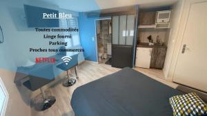 Appartements Le Petit Bleu Centre ville - Wifi - Parking : Appartement 1 Chambre