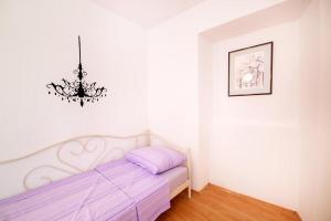 Dalmatian Garden - FREE parking - city centre