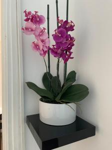 Appartement 13008 bord de mer