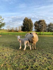 Maisons de vacances Une pause nature chez Marion et Cedric : photos des chambres