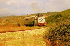 B&B Rita and Family img22