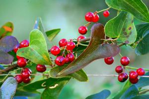B&B Rita and Family img48