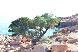 B&B Rita and Family img49