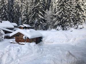 Chalet Chardon