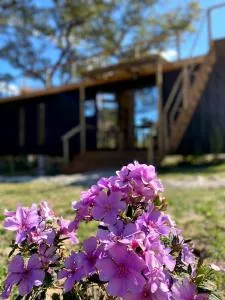 Hospedaria BOCA DO MATO - CONTAINER - Mambaí